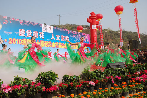 20100319143303862